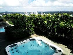 The Scotts Tower (D9), Condominium #503940011